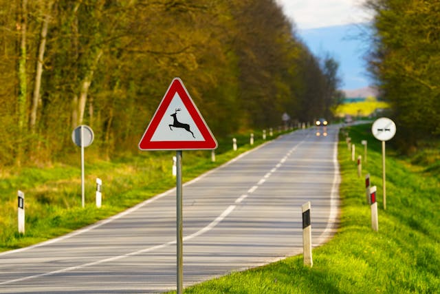 pexels-vladimirsrajber-20772193